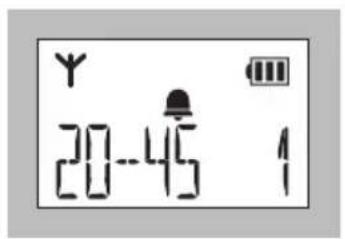 ALECTO FX-6020 - WERKING ALARM: - 1