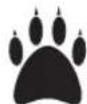 BOSCH GRA 18V2-46SP Professional - Spiegazione dei simboli tosaerba - 11