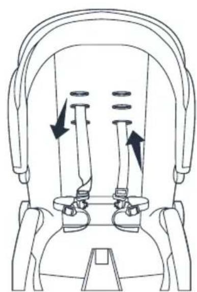 Deryan Evy V2 Seat - HARNESS - 7