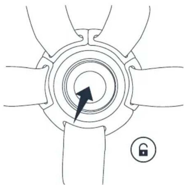 Deryan Evy V2 Seat - HARNESS - 2