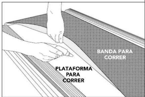 BOWFLEX T6 Treadmill - PLAN DE MANTENIMIENTO - 1
