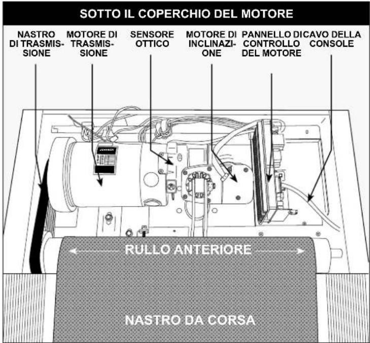 Schwinn SFT 3.5 - Se la risposta è no: - 1
