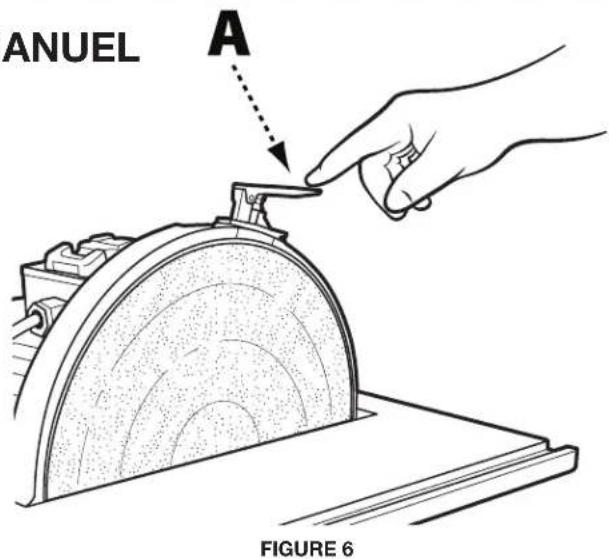ANUEL A FIGURE 6