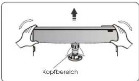 HISENSE RB645N4BIB - Vor der Verwendung - 1