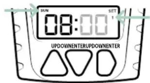 Dörr Compact B0CHW4KGXN - Inserire l'ora di alimentazione 1 per domenica - 1