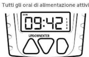 Dörr Compact B0CHW4KGXN - Inserire gli orari di alimentazione 3 e 4 - 1
