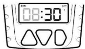 Dörr Compact B0CHW4KGXN - Utfodringstid 1 för söndag - 2