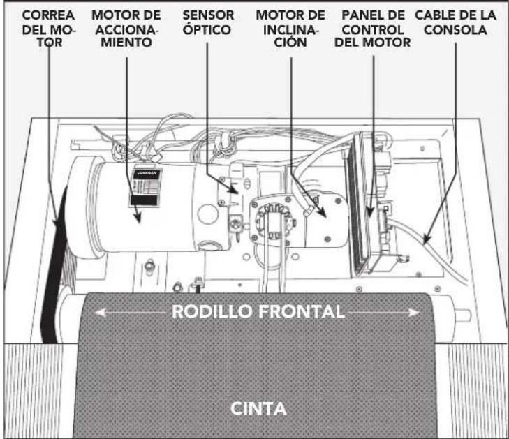 BOWFLEX T8.5J - PROBLEMA: En la consola se puede leer SAFETY KEY OFF (LLAVE DE SEGURIDAD DESACTIVADA) o solo muestra guiones. - 1