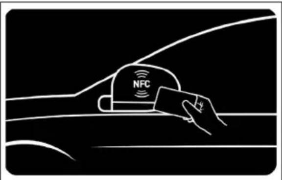 BYD DOLPHIN (2025) - Carte-clé NFC - 1