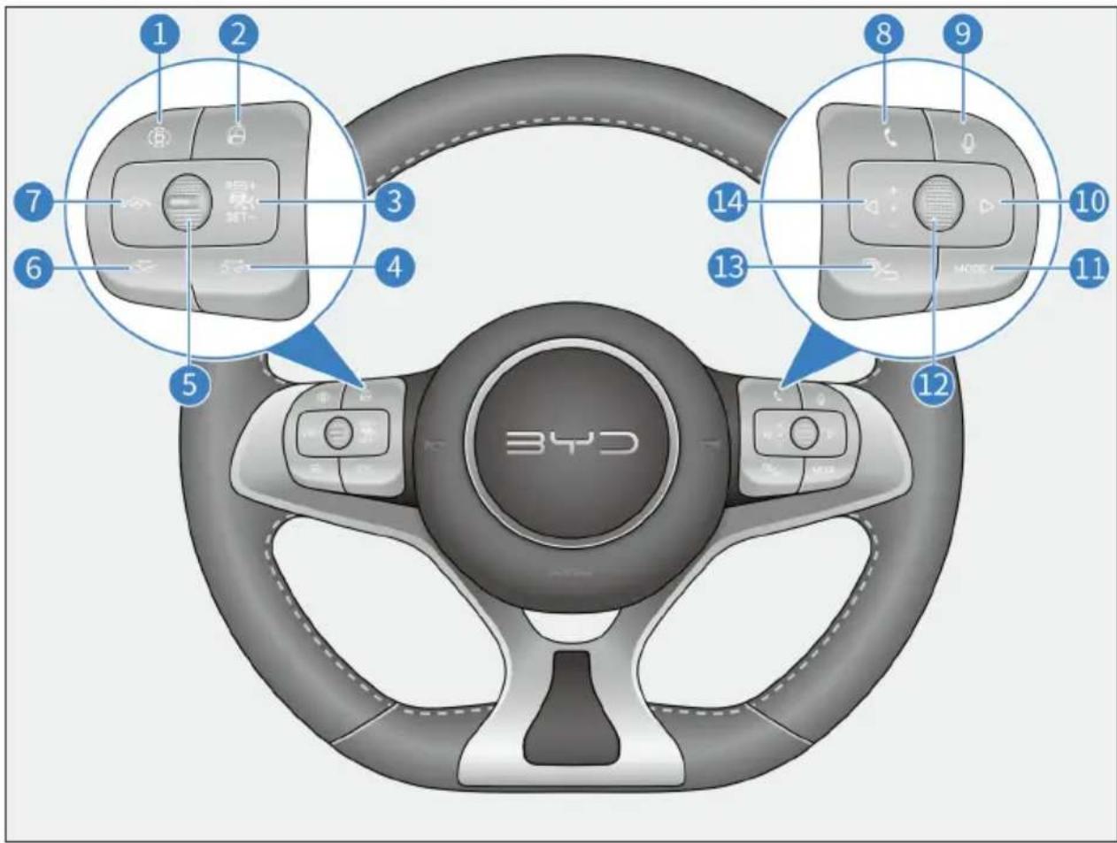BYD DOLPHIN (2025) - Commutateurs du volant - 1