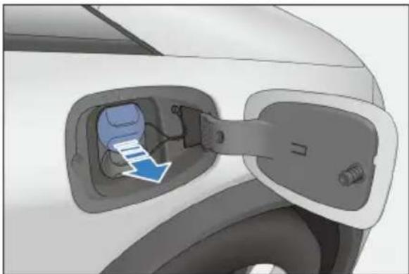 BYD DOLPHIN (2025) - Charge - 2