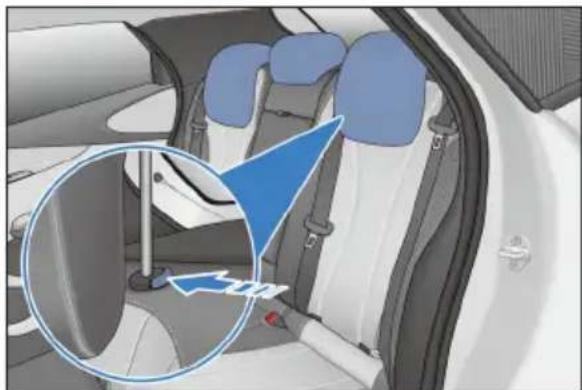 BYD DOLPHIN (2025) - Abaisser un appui-tête - 1