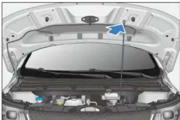 BYD DOLPHIN (2025) - Ouverture du capot - 2