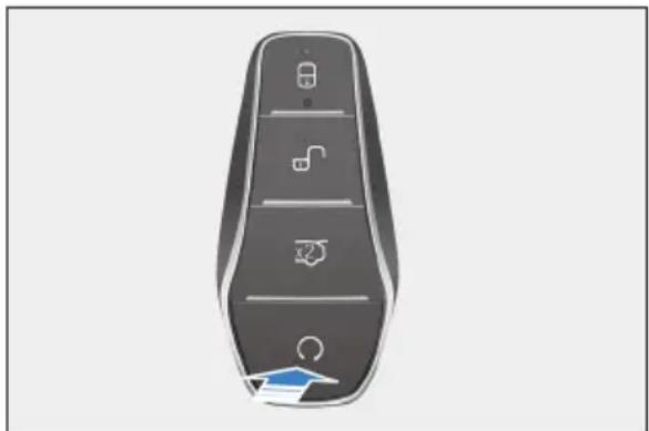 BYD DOLPHIN (2025) - Démarrage à distance avec la clé électronique intelligente - 1