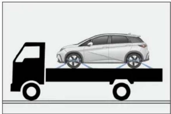 BYD DOLPHIN (2025) - AVERTISSEMENT - 1