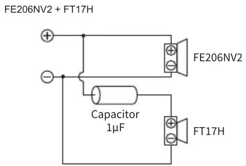 FE206NV2 + FT17H FE206NV2 Capacitor 1µF FT17H