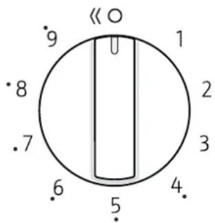 NEFF N23YS29S0 - Καυστήρας πολλαπλής στεφάνης Dualwok - 1