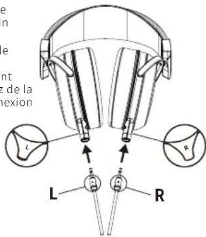 e n e nt z de la exion L R L B R