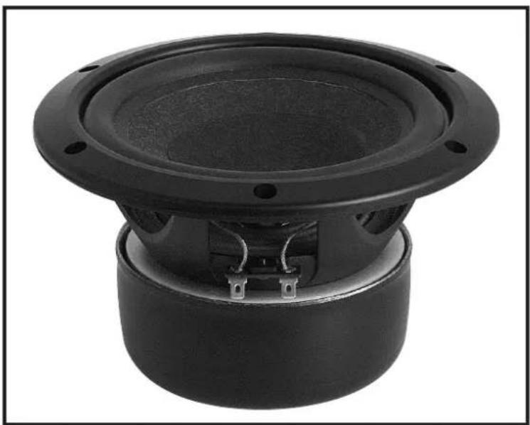 FOSTEX FW167 - FW167 - 1