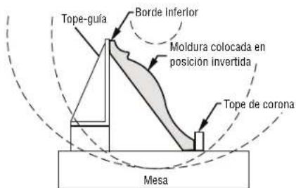 BOSCH CM8S Professional - ▼ AJUSTES DE INGLETE Y BISEL PARA CORTES DE MOLDURA DE CORONA ESTÁNDAR - 3