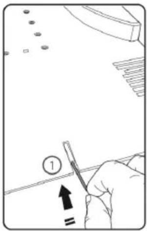 Blumfeldt Garden Hero - MISE EN GARDE - 2