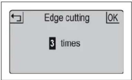Blumfeldt Garden Hero - Edge cutting - 1