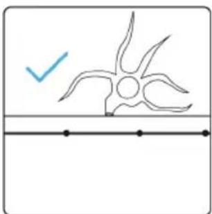 Blumfeldt Garden Hero - Descripción - 7