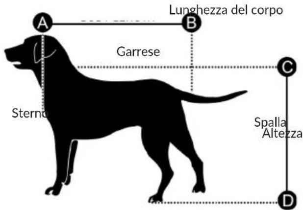 Klarfit Goldie S - SCEGLIERE IL RIMORCHIO DELLE DIMENSIONI GIUSTE - 1
