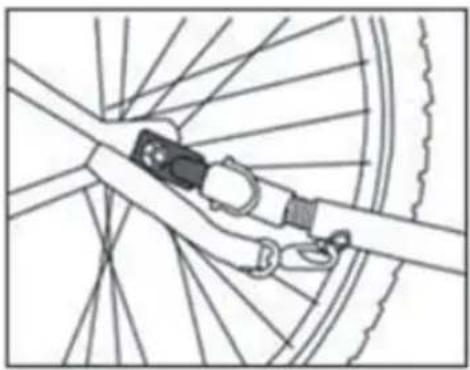 Duramaxx King Rex - Paso 4: Acoplado a la bicicleta - 1