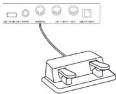 Schubert Subi 88 MKII - Conexión del pedal - 1