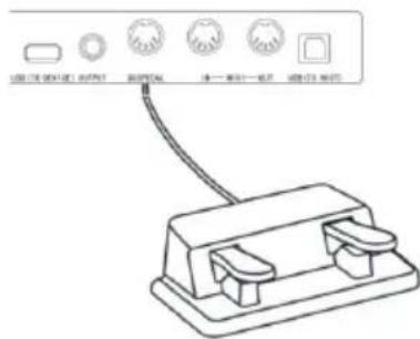 Schubert Subi 88 MKII - Connect USB equipment - 2