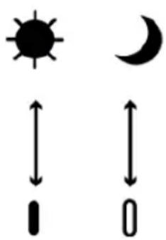 Blumfeldt Therma Touch - Fonction Copy - 1