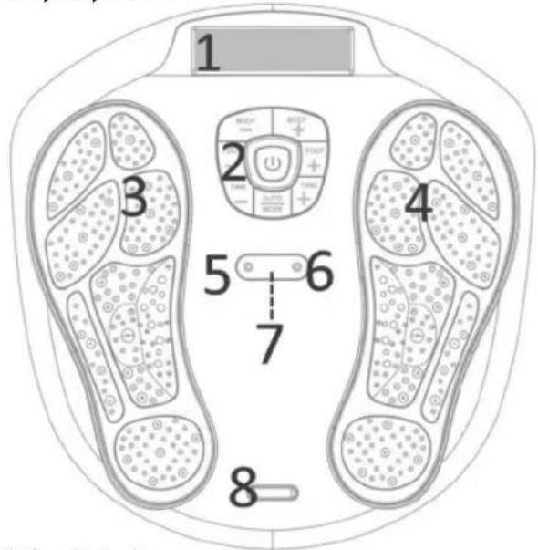 HOMEDICS CB-200-GB - KONEEN YLEISKATSAUS JA OSIEN NIMET - 3