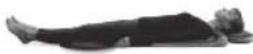 HOMEDICS BM-AC98-EB - 3