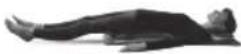 HOMEDICS BM-AC98-EB - 4