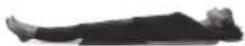 HOMEDICS BM-AC98-EB - To stretch Lower Torso and Hips - 4