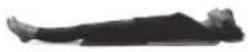 HOMEDICS BM-AC98-EB - Alavartalon ja lanteiden venytys - 4