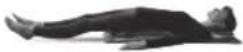 HOMEDICS BM-AC98-EB - 4