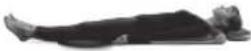 HOMEDICS BM-AC98-EB - 3
