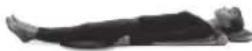 HOMEDICS BM-AC98-EB - 3