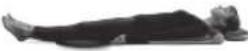 HOMEDICS BM-AC98-EB - 3