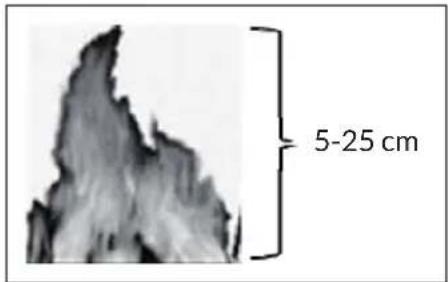 Blumfeldt Corinth - PRECAUCION - 1