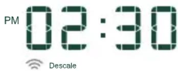 Café C7CDAAS2PS3 - DESCALCIFICACIÓN - 1