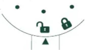 Café C7CDAAS2PS3 - SHOWERHEAD - 1
