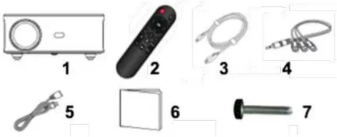 Irradio VDP-IR Smart 900HD - DER INHALT DER VERPACKUNG UND DIE TEILE DES GERÄTS - 1