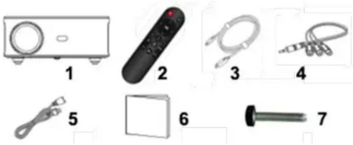 Irradio VDP-IR Smart 900HD - THE CONTENTS OF THE PACKAGE AND THE PARTS OF THE APPLIANCE - 1