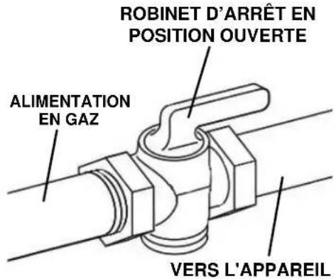 Hestan KRG485GD - DÉGAGEMENTS DE GAZ ET D'APPROVISIONNEMENT ÉLECTRIQUE - 1