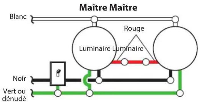 Maître Maître Blanc Rouge Luminaire Luminaire Noir Vert ou dénudé
