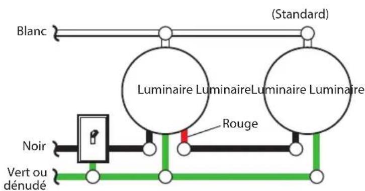 Blanc (Standard) Luminaire LuminaireLuminaire Luminaire Rouge Noir Vert ou dénudé