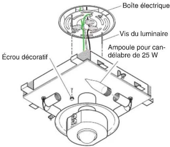 Boîte électrique Vis du luminaire Ampoule pour candélabre de 25 W Écrou décoratif